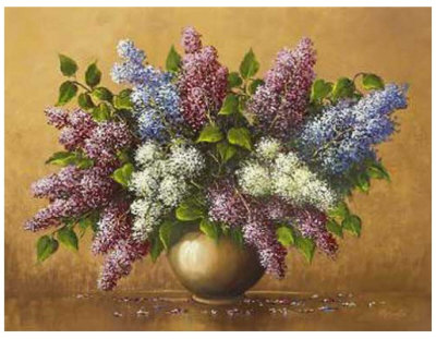 Syringa Print Syringa Print