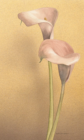 Calla II Print Calla II Print