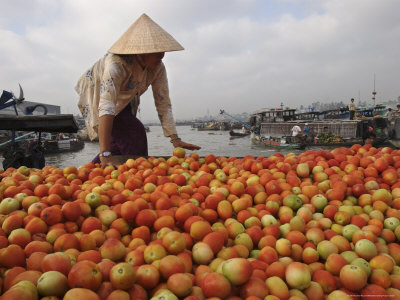 Mekong+delta+floating+markets