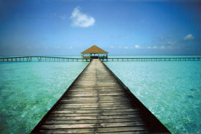 Jetty Maldives Poster Jetty Maldives Poster