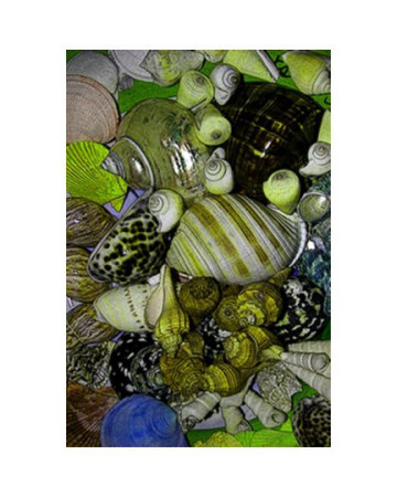 Sea Collage Limited Edition Sea Collage Limited Edition