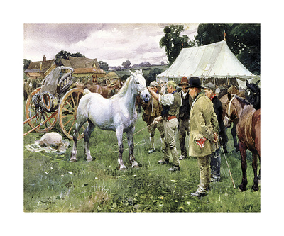Horse Sale Limited Edition Horse Sale Limited Edition