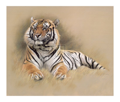 Tiger Limited Edition Tiger Limited Edition