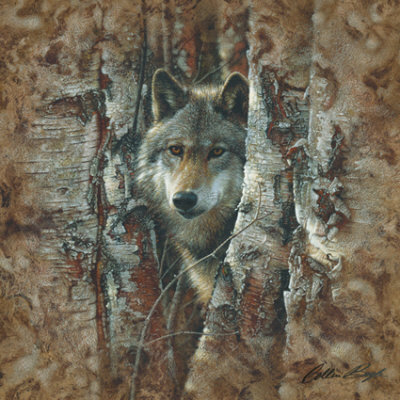 Woodland Spirit Print Woodland Spirit Print