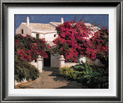 Buganvillas al Sol I Framed Print Buganvillas al Sol I Framed Print