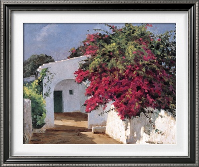 Buganvillas al Sol II Framed Print Buganvillas al Sol II Framed Print