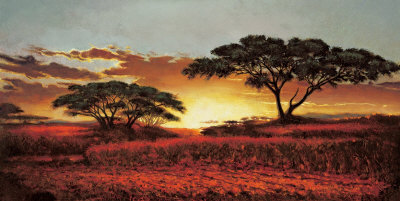 Memories of Serengeti Print Memories of Serengeti Print