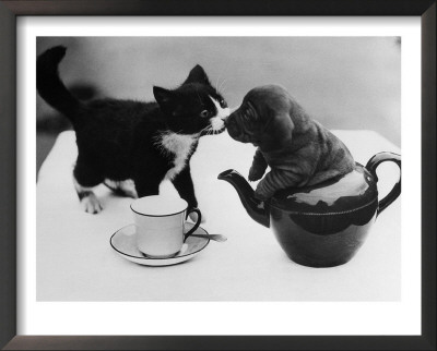Tea Party Framed Print Tea Party Framed Print