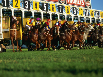 oliver-strewe-start-of-horse-race-sydney-new-south-wales-australia.jpg