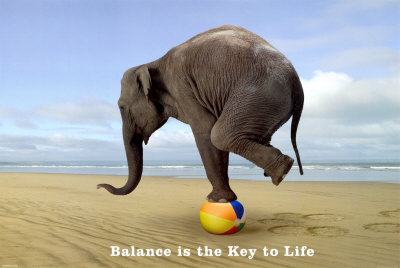 Balance Is The Key Poster Balance Is The Key Poster