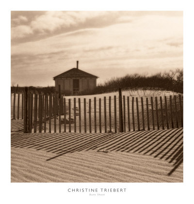 Dune Shack Print Dune Shack Print