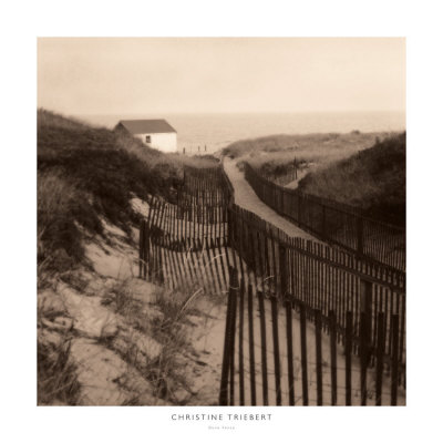 Dune Fence Print Dune Fence Print
