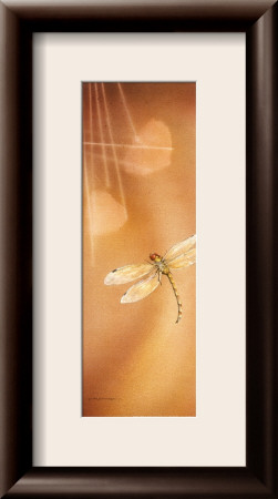 Dragonflight II Framed Print Dragonflight II Framed Print