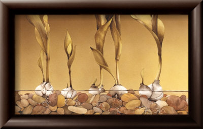 Gilden Tulips Framed Print Gilden Tulips Framed Print