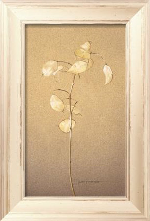 Lunaria Study II Framed Print Lunaria Study II Framed Print
