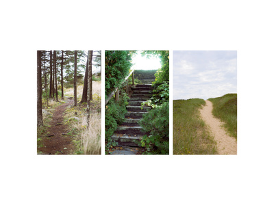 Many Paths Triptych Premium Poster Many Paths Triptych Premium Poster