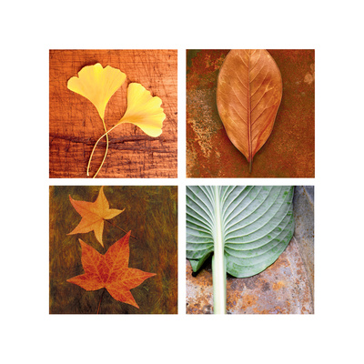 Leaves Arrangement Four Patch Stretched Canvas Print