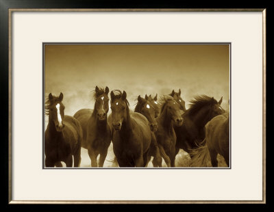 The Meeting Framed Print The Meeting Framed Print