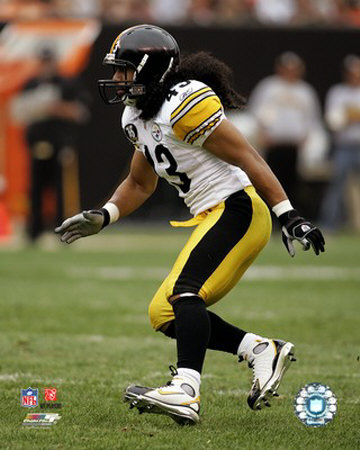 Troy Polamalu Photograph Troy Polamalu Photograph