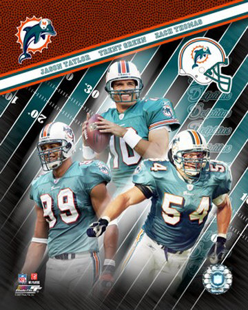 Miami Dolphins Photograph Miami Dolphins Photograph