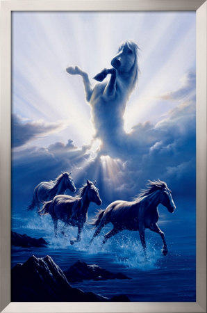 Wild Spirit Framed Print Wild Spirit Framed Print