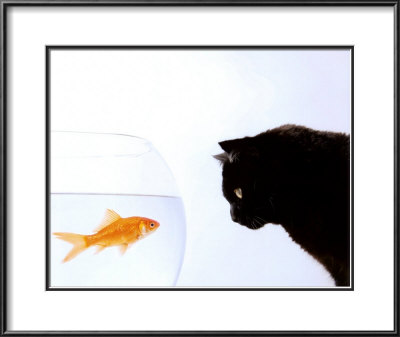 Eyes on the Prize Framed Print Eyes on the Prize Framed Print