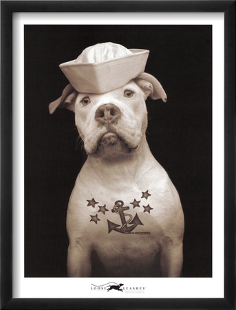 Fluke Framed Print Fluke Framed Print