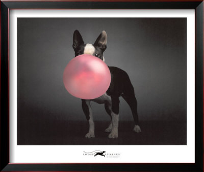 Poppie Framed Print Poppie Framed Print