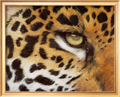 Camouflage Framed Print Camouflage Framed Print