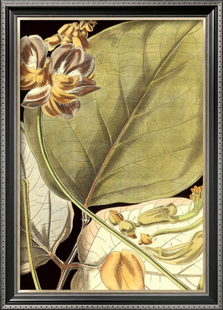 Tranquil Tropical Leaves I Framed Print Tranquil Tropical Leaves I Framed Print