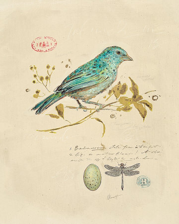 Gilded Songbird I Mounted Print Gilded Songbird I Mounted Print