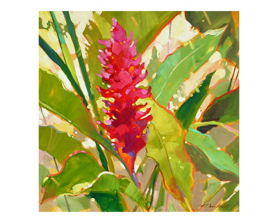 Island Ginger Other Island Ginger Other