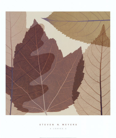 Four Leaves II Print Four Leaves II Print