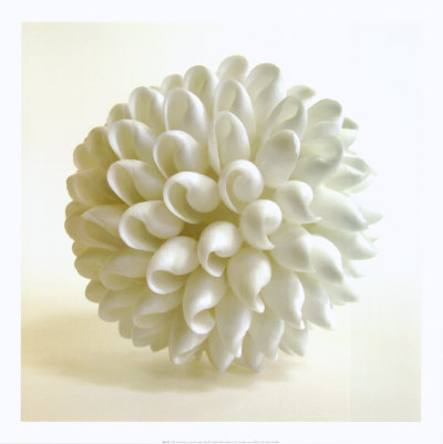 Shell III Print Shell III Print