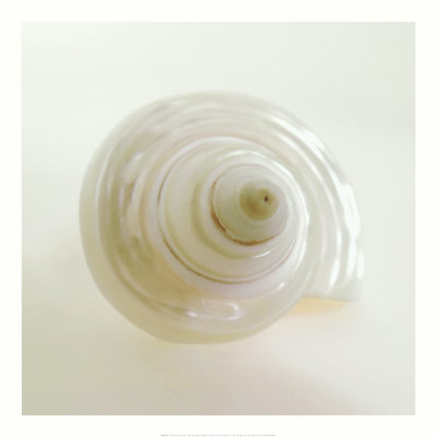 Shell IV Print Shell IV Print