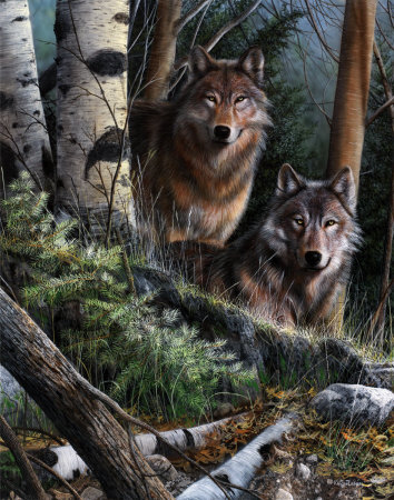 Watchful Eyes Print Watchful Eyes Print