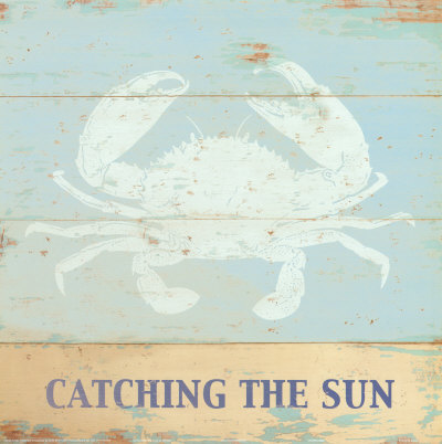 Catching the Sun Print Catching the Sun Print