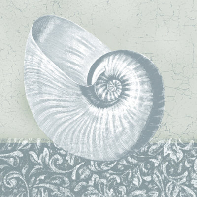 Coastal Cottage Shell II Print Coastal Cottage Shell II Print