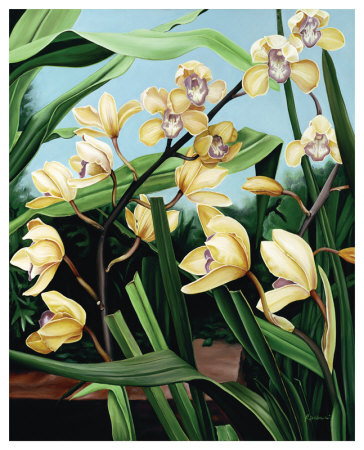 Yellow Orchids Giclee Print Yellow Orchids Giclee Print