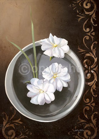White Jasmine Print White Jasmine Print