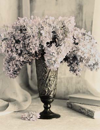 Quiet Blooms I Print Quiet Blooms I Print