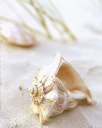 Sandy Beach III Print Sandy Beach III Print