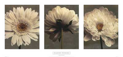Daisy and Dahlia Print Daisy and Dahlia Print