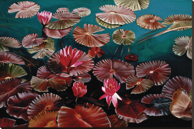Red Water Lilies Stretched Canvas Print Red Water Lilies Stretched Canvas Print