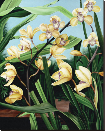 Yellow Orchids Stretched Canvas Print Yellow Orchids Stretched Canvas Print