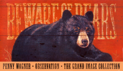 Observation Print Observation Print