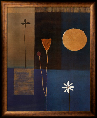 Full Moon Framed Print Full Moon Framed Print