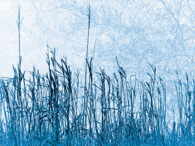 Pastoral Vision Limited Edition on Canvas Pastoral Vision Limited Edition on Canvas