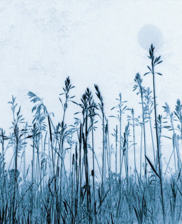 Pastoral Moment Limited Edition on Canvas Pastoral Moment Limited Edition on Canvas