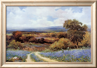 Texas Spring Framed Print Texas Spring Framed Print